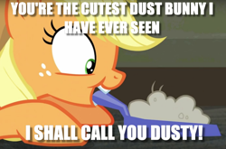 Size: 1168x772 | Tagged: safe, edit, edited screencap, screencap, character:applejack, episode:the saddle row review, g4, my little pony: friendship is magic, cute, dust, dustpan, image macro, meme, smiling