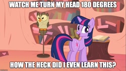 Size: 889x500 | Tagged: safe, edit, edited screencap, screencap, character:owlowiscious, character:twilight sparkle, episode:owl's well that ends well, g4, my little pony: friendship is magic, image macro, meme