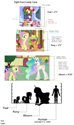 Size: 796x1349 | Tagged: safe, edit, edited screencap, screencap, character:apple bloom, character:fluttershy, character:princess celestia, character:scootaloo, character:twilight sparkle, species:alicorn, species:earth pony, species:human, species:pegasus, species:pony, species:unicorn, episode:hearth's warming eve, g4, my little pony: friendship is magic, 8 foot candy cane, candy, candy cane, comparison chart, female, food, frown, grin, headcanon, height, height difference, height scale, jewelry, looking down, looking up, mare, math, raised hoof, regalia, scale, silhouette, size chart, size comparison, smiling, standing, text