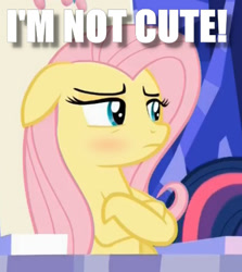 Size: 421x473 | Tagged: safe, edit, edited screencap, screencap, character:fluttershy, episode:28 pranks later, g4, my little pony: friendship is magic, blatant lies, blushing, caption, crossed arms, cute, denial, fluttertsun, i'm not cute, image macro, looking away, meme, shyabetes, tsundere