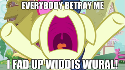 Size: 623x351 | Tagged: safe, edit, edited screencap, screencap, character:bon bon, character:sweetie drops, episode:hearts and hooves day, g4, my little pony: friendship is magic, caption, floppy ears, image macro, open mouth, parody, the room, tommy wiseau, uvula