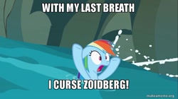 Size: 800x449 | Tagged: safe, edit, edited screencap, screencap, character:rainbow dash, episode:the mysterious mare do well, g4, my little pony: friendship is magic, female, futurama, image macro, meme, river, solo, water, with my last breath i curse zoidberg, zoidberg