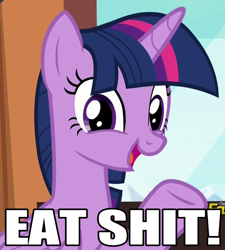 Size: 850x946 | Tagged: safe, edit, edited screencap, screencap, character:twilight sparkle, character:twilight sparkle (alicorn), species:alicorn, species:pony, episode:the times they are a changeling, g4, my little pony: friendship is magic, eat shit, female, solo, vulgar