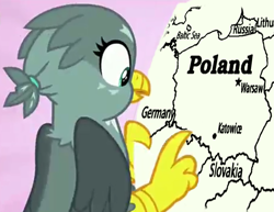 Size: 803x619 | Tagged: safe, edit, edited screencap, screencap, character:gabby, species:griffon, episode:the fault in our cutie marks, g4, my little pony: friendship is magic, germany, lithuania, poland, ponytail, russia, slovakia, solo