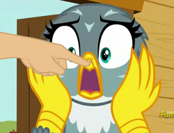 Size: 1322x1008 | Tagged: safe, edit, edited screencap, screencap, character:gabby, species:griffon, episode:the fault in our cutie marks, g4, my little pony: friendship is magic, beakboop, boop, boop edit