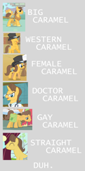 Size: 850x1701 | Tagged: safe, edit, edited screencap, screencap, character:caramel, character:doctor horse, character:doctor stable, character:toffee, species:earth pony, species:pony, species:unicorn, episode:hearts and hooves day, episode:read it and weep, episode:the last roundup, episode:winter wrap up, g4, my little pony: friendship is magic, background pony, chance-a-lot, collage, comparison, creme brulee, eyes closed, female, floppy ears, gay, male, mare, rule 63, sad, smiling, stallion, straight, text, title sequence