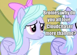 Size: 575x409 | Tagged: safe, edit, edited screencap, screencap, character:cloudchaser, character:flitter, episode:hurricane fluttershy, g4, my little pony: friendship is magic, cropped, duo, image macro, sad, solo focus