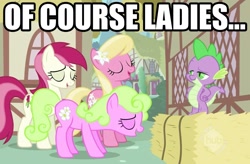Size: 1603x1054 | Tagged: safe, edit, edited screencap, screencap, character:daisy, character:lily, character:lily valley, character:roseluck, character:spike, species:dragon, species:earth pony, species:pony, caption, female, flower, flower in hair, flower trio, harem, image macro, lily (flower), male, mare, spike gets all the mares