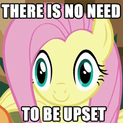 Size: 333x334 | Tagged: safe, edit, edited screencap, screencap, character:applejack, character:fluttershy, episode:viva las pegasus, g4, my little pony: friendship is magic, caption, dead stare, faec, image macro, las pegasus, las pegasus stare, meme, reaction image, text, there is no need to be upset, thousand yard stare