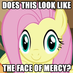 Size: 332x333 | Tagged: safe, edit, edited screencap, screencap, character:applejack, character:fluttershy, episode:viva las pegasus, g4, my little pony: friendship is magic, caption, dead stare, face of mercy, faec, image macro, las pegasus, las pegasus stare, looking at you, meme, reaction image, text, thousand yard stare