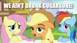 Size: 1280x720 | Tagged: safe, edit, edited screencap, screencap, character:applejack, character:fluttershy, character:rainbow dash, episode:every little thing she does, g4, my little pony: friendship is magic, applejack is a bad liar, bags under eyes, blatant lies, blushing, discovery family logo, drunk, drunk aj, drunker dash, drunkershy, image macro, looking at you, meme, messy mane, spoonerism, tired