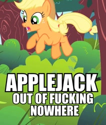 Size: 509x600 | Tagged: safe, edit, edited screencap, screencap, character:applejack, episode:the cutie mark chronicles, g4, my little pony: friendship is magic, cropped, female, image macro, incoming, jumping, out of fucking nowhere, solo, vulgar