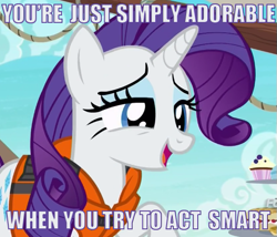 Size: 553x474 | Tagged: safe, edit, edited screencap, screencap, character:rarity, species:pony, species:unicorn, episode:p.p.o.v. (pony point of view), g4, my little pony: friendship is magic, caption, condescending, female, image macro, lidded eyes, mare, meme, smiling, solo, text, you're adorable