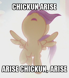 Size: 300x340 | Tagged: safe, edit, edited screencap, screencap, character:scootaloo, species:pegasus, species:pony, episode:crusaders of the lost mark, g4, my little pony: friendship is magic, aqua teen hunger force, chickun, exploitable meme, faec, female, forced meme, image macro, looking up, meme, open mouth, raised hoof, solo, spread wings, wings