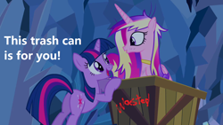 Size: 1280x720 | Tagged: safe, edit, edited screencap, screencap, character:princess cadance, character:twilight sparkle, episode:a canterlot wedding, g4, my little pony: friendship is magic, into the trash it goes, meme, trash can, wasted