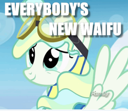 Size: 570x492 | Tagged: safe, edit, edited screencap, screencap, character:vapor trail, episode:top bolt, g4, my little pony: friendship is magic, cute, goggles, image macro, looking up, meme, smiling, solo, spread wings, vaporbetes, waifu, wings