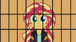 Size: 1242x694 | Tagged: safe, edit, edited screencap, screencap, character:sunset shimmer, my little pony:equestria girls, female, inverted mouth, prison bars, solo