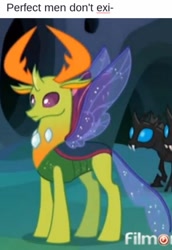 Size: 720x1047 | Tagged: safe, edit, edited screencap, screencap, character:thorax, species:changeling, species:reformed changeling, episode:to where and back again, g4, my little pony: friendship is magic, caption, cropped, exploitable meme, meme, perfection