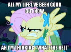 Size: 655x480 | Tagged: safe, edit, edited screencap, screencap, character:fluttershy, species:pegasus, species:pony, episode:the best night ever, g4, my little pony: friendship is magic, avril lavigne, caption, clothing, dress, female, flutterrage, gala dress, gritted teeth, image macro, mare, solo, song reference, vulgar, what the hell (song)