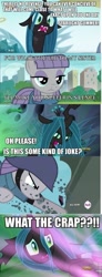 Size: 355x960 | Tagged: safe, edit, edited screencap, screencap, character:maud pie, character:queen chrysalis, species:changeling, species:earth pony, species:pony, episode:maud pie, episode:the gift of the maud pie, episode:to where and back again, g4, my little pony: friendship is magic, changeling queen, comic, female, implied pinkie pie, mare, now you fucked up, screencap comic, shit just got real