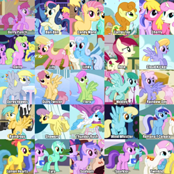 Size: 1000x1000 | Tagged: safe, edit, edited screencap, screencap, character:amethyst star, character:berry punch, character:berryshine, character:bon bon, character:candy mane, character:carrot top, character:cherry berry, character:cloud kicker, character:daisy, character:derpy hooves, character:dizzy twister, character:golden harvest, character:lemon hearts, character:lily, character:lily valley, character:linky, character:lyra heartstrings, character:merry may, character:minuette, character:orange swirl, character:parasol, character:rainbowshine, character:roseluck, character:sassaflash, character:sea swirl, character:shoeshine, character:sparkler, character:spring melody, character:sprinkle medley, character:sunshower raindrops, character:sweetie drops, character:twinkleshine, character:white lightning, species:earth pony, species:pegasus, species:pony, species:unicorn, episode:applebuck season, episode:call of the cutie, episode:feeling pinkie keen, episode:friendship is magic, episode:sonic rainboom, episode:swarm of the century, episode:winter wrap up, g4, my little pony: friendship is magic, season 1, artifact, background pony, background pony chart, collage, cropped, female, flower trio, mare, old names, romana, showers, solo focus, thunder rush, wall of tags