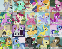Size: 1000x800 | Tagged: safe, edit, edited screencap, screencap, character:amethyst star, character:berry punch, character:berryshine, character:blues, character:bon bon, character:caramel, character:carrot top, character:cheerilee, character:cloud kicker, character:daisy, character:derpy hooves, character:doctor whooves, character:golden harvest, character:goldengrape, character:lemon hearts, character:lily, character:lily valley, character:lucky clover, character:lyra heartstrings, character:minuette, character:noteworthy, character:parasol, character:roseluck, character:sparkler, character:sunshower raindrops, character:sweetie drops, character:time turner, character:twinkleshine, species:earth pony, species:pegasus, species:pony, species:unicorn, episode:boast busters, episode:call of the cutie, episode:feeling pinkie keen, episode:friendship is magic, episode:sonic rainboom, episode:swarm of the century, episode:winter wrap up, g4, my little pony: friendship is magic, season 1, artifact, background pony, background pony chart, fanon, flower trio, flying, image macro, lucky, meme, names, old names, overly protective parent pony, showers, solo focus, wall of tags