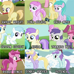 Size: 753x753 | Tagged: safe, edit, edited screencap, screencap, character:alula, character:aura, character:cotton cloudy, character:dinky hooves, character:liza doolots, character:noi, character:petunia, character:piña colada, character:pluto, character:ruby pinch, character:tootsie flute, character:tornado bolt, species:earth pony, species:pegasus, species:pony, species:unicorn, episode:call of the cutie, episode:lesson zero, episode:the cutie pox, episode:the mysterious mare do well, episode:winter wrap up, g4, my little pony: friendship is magic, artifact, background pony, background pony chart, collage, cropped, female, filly, foal, old names, piña cutelada