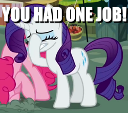 Size: 412x362 | Tagged: safe, edit, edited screencap, screencap, character:pinkie pie, character:rarity, episode:putting your hoof down, g4, my little pony: friendship is magic, behaving like an ostrich, caption, cringing, facehoof, image macro, meme, stressed, you had one job