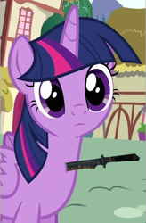 Size: 395x603 | Tagged: safe, edit, edited screencap, screencap, character:twilight sparkle, character:twilight sparkle (alicorn), species:alicorn, species:pony, abuse, confused, counter-strike, female, frown, grimderp, head tilt, immortality is awesome, knife, looking at you, mare, solo, stabbing, twilybuse, wat