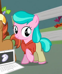 Size: 323x381 | Tagged: safe, edit, edited screencap, screencap, character:aquamarine, character:button mash, character:liquid button, episode:crusaders of the lost mark, g4, my little pony: friendship is magic, aquamarine wears everything, computer, cropped, gentoo, richard stallman