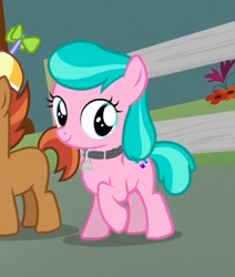 Size: 323x381 | Tagged: safe, edit, edited screencap, screencap, character:aquamarine, character:button mash, character:liquid button, episode:crusaders of the lost mark, g4, my little pony: friendship is magic, aquamarine wears everything, collar, cropped