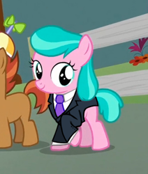 Size: 323x381 | Tagged: safe, edit, edited screencap, screencap, character:aquamarine, character:button mash, character:liquid button, episode:crusaders of the lost mark, g4, my little pony: friendship is magic, aquamarine wears everything, clothing, cropped, outfit, suit