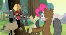 Size: 640x345 | Tagged: safe, edit, edited screencap, screencap, character:cranky doodle donkey, character:pinkie pie, species:donkey, species:earth pony, species:pony, episode:a friend in deed, g4, my little pony: friendship is magic, beaver, clothing, costume, the elm chanted forest