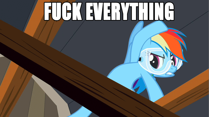 Size: 853x480 | Tagged: safe, edit, edited screencap, screencap, character:rainbow dash, episode:lesson zero, g4, my little pony: friendship is magic, animated, female, fuck everything, gif, goggles, ladder, rage, reaction image, solo, vulgar