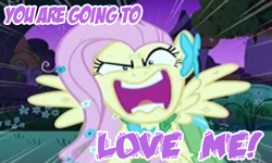 Size: 433x260 | Tagged: safe, edit, edited screencap, screencap, character:fluttershy, episode:the best night ever, g4, my little pony: friendship is magic, clothing, dress, flutterrage, gala, gala dress, scratches, you're going to love me
