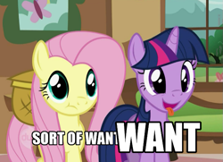 Size: 725x524 | Tagged: safe, edit, edited screencap, screencap, character:fluttershy, character:twilight sparkle, episode:a bird in the hoof, g4, my little pony: friendship is magic, cropped, duo, hub logo, mirrored, reaction image, tongue out, varying degrees of want, want