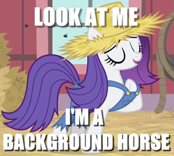 Size: 717x642 | Tagged: safe, edit, edited screencap, screencap, character:rarity, episode:simple ways, g4, my little pony: friendship is magic, background pony, background pony applejack, caption, female, image macro, meme, mocking, op is a duck, op is trying to start shit, rarihick, solo
