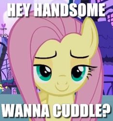Size: 384x411 | Tagged: safe, edit, edited screencap, screencap, character:fluttershy, species:pegasus, species:pony, episode:flutter brutter, g4, my little pony: friendship is magic, bronybait, cropped, female, image macro, innocent, lidded eyes, looking at you, meme, solo