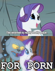 Size: 500x646 | Tagged: safe, edit, edited screencap, screencap, character:fido, character:rarity, species:diamond dog, episode:a dog and pony show, g4, my little pony: friendship is magic, avenue q, gritted teeth, image macro, open mouth, smiling, song reference, the internet is for porn, wide eyes