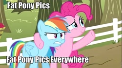 Size: 960x539 | Tagged: safe, edit, edited screencap, screencap, character:pinkie pie, character:rainbow dash, species:earth pony, species:pegasus, species:pony, duo, duo female, female, image macro, mare, x x everywhere
