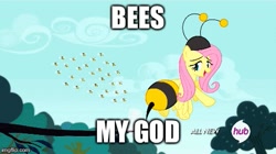 Size: 495x278 | Tagged: safe, edit, edited screencap, screencap, character:fluttershy, species:pegasus, species:pony, episode:it ain't easy being breezies, g4, my little pony: friendship is magic, animal costume, atop the fourth wall, batman, bee, bee costume, bees my god, clothing, costume, female, flutterbee, linkara, mare