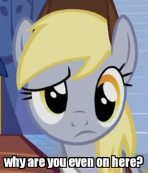 Size: 409x477 | Tagged: safe, edit, edited screencap, screencap, character:derpy hooves, species:pegasus, species:pony, episode:to where and back again, g4, my little pony: friendship is magic, confused, female, frown, image macro, mare, meme, raised eyebrow, reaction image, solo focus