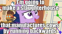 Size: 1365x767 | Tagged: safe, edit, edited screencap, screencap, character:twilight sparkle, episode:it's about time, g4, my little pony: friendship is magic, female, future twilight, image macro, it just works, meme, necromancy, solid sparkle, solo, some jerk with a camera, twilight gone mad, twilight snapple