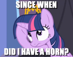 Size: 344x270 | Tagged: safe, edit, edited screencap, screencap, character:twilight sparkle, character:twilight sparkle (alicorn), species:alicorn, species:pony, episode:equestria games, g4, my little pony: friendship is magic, amnesia, confused, female, frown, horn, image macro, looking up, mare, meme, memory loss, poking, question, rubbing, sitting, solo, throne, underhoof, wide eyes