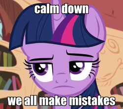 Size: 1200x1070 | Tagged: safe, edit, edited screencap, screencap, character:twilight sparkle, character:twilight sparkle (alicorn), species:alicorn, species:pony, episode:testing testing 1-2-3, g4, my little pony: friendship is magic, annoyed, disappointed, female, frown, grumpy, grumpy twilight, image macro, implied facepalm, meme, raised eyebrow, reaction image, solo, unamused