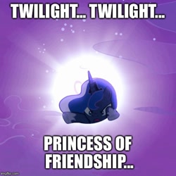 Size: 500x500 | Tagged: safe, edit, edited screencap, screencap, character:princess luna, species:alicorn, species:pony, episode:to where and back again, g4, my little pony: friendship is magic, god, image macro, meme, monty python, monty python and the holy grail