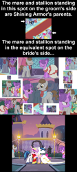 Size: 978x2190 | Tagged: safe, edit, edited screencap, screencap, character:applejack, character:fine line, character:night light, character:north star (g4), character:pinkie pie, character:princess cadance, character:rainbow dash, character:rarity, character:sea swirl, character:shining armor, character:star gazer, character:twilight velvet, episode:a canterlot wedding, episode:sweet and elite, episode:the best night ever, g4, my little pony: friendship is magic, analysis, collage, family, headcanon, north star, north star gazer, parent, ponies standing next to each other, wedding
