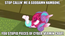 Size: 683x383 | Tagged: safe, edit, edited screencap, screencap, character:princess flurry heart, episode:a flurry of emotions, g4, my little pony: friendship is magic, angry, cans.wav, exploitable meme, female, fury heart, image macro, meme, solo, tantrum, the man they call ghost, true capitalist radio, vulgar