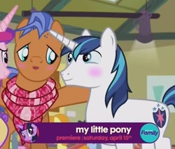 Size: 737x624 | Tagged: safe, edit, edited screencap, screencap, character:princess cadance, character:shining armor, character:spearhead, species:pony, species:unicorn, episode:a flurry of emotions, g4, my little pony: friendship is magic, bisexual, blushing, gay, gay in front of girls, male, shipping, spearmor