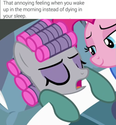 Size: 653x705 | Tagged: safe, edit, edited screencap, screencap, character:maud pie, character:pinkie pie, species:pony, episode:rock solid friendship, g4, my little pony: friendship is magic, clothing, cropped, dank memes, hair curlers, image macro, me irl, meme, obligatory pony, pajamas